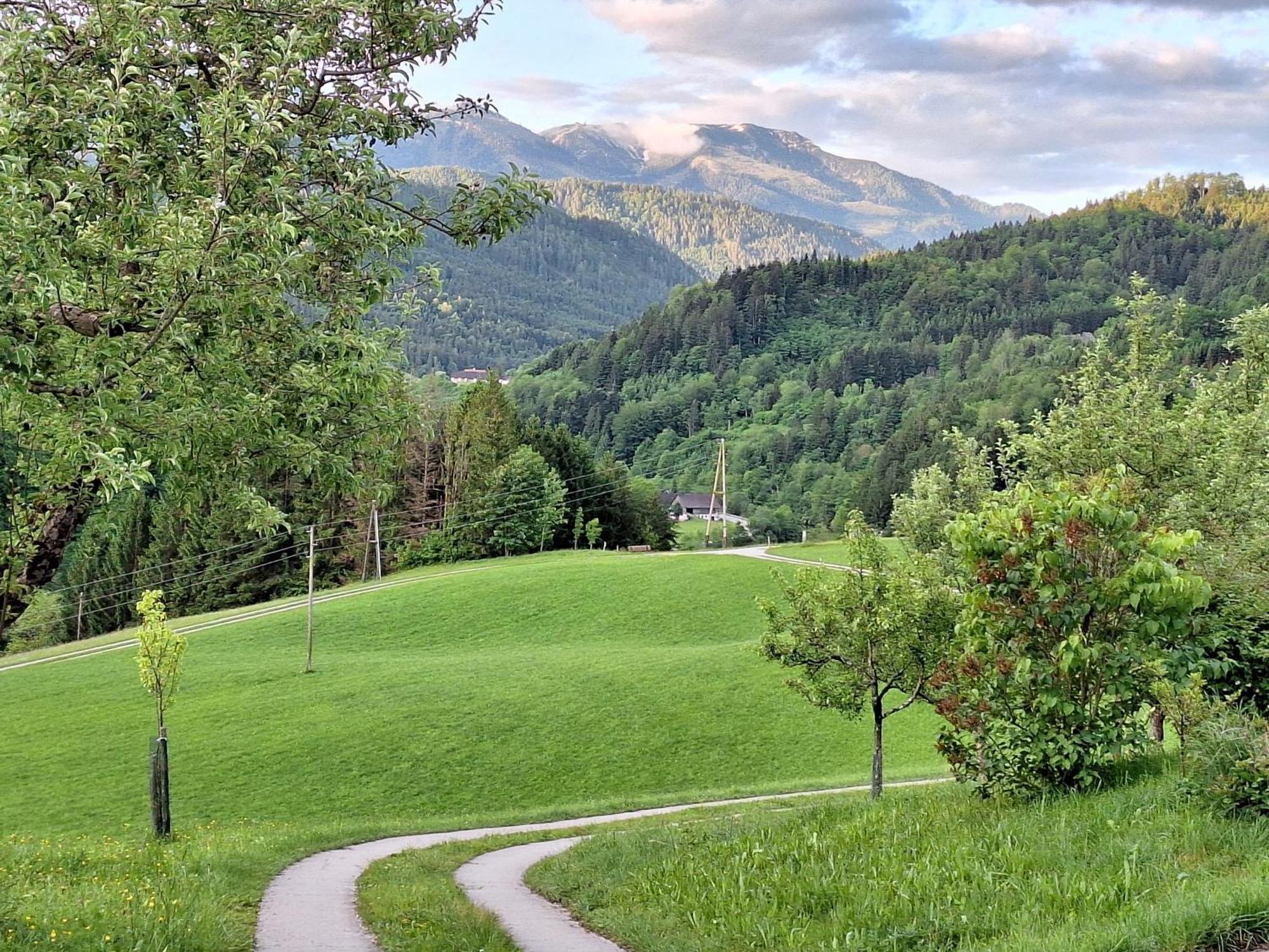 ゲストリング・アン・デア・イップス Biobauernhof Poidlbauerヴィラ エクステリア 写真